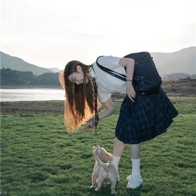 槲寄生农场的惊奇圣诞